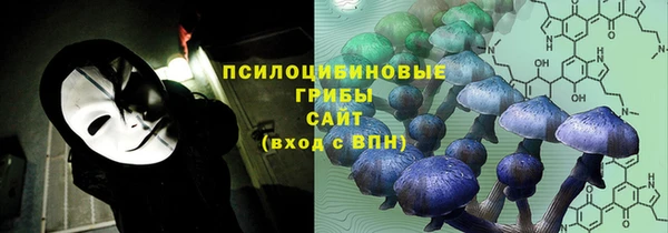 COCAINE Богданович