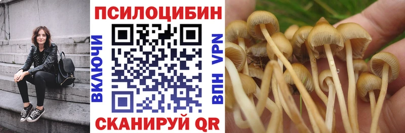 Галлюциногенные грибы Psilocybine cubensis  Купить закладки  Партизанск 